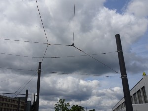 2019-05-29 DIT östlicher Vorplatz (1)